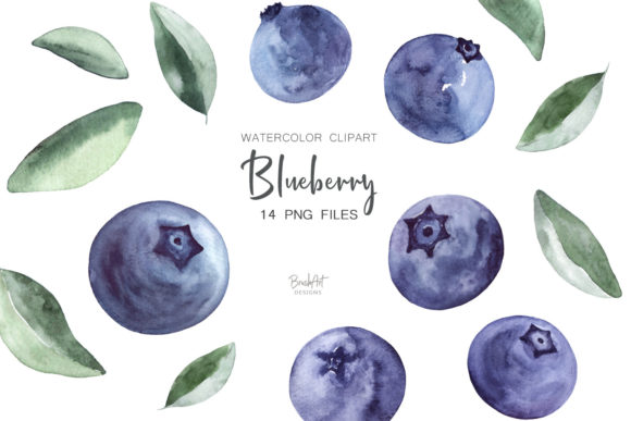 Download Blueberries Watercolor Clipart - Clipart Collection