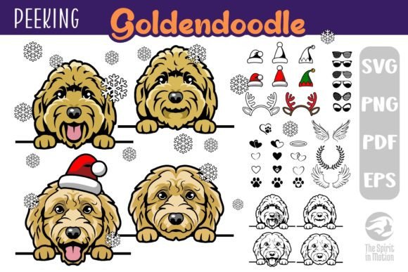 Download Goldendoodle SVG, Clipart &amp; Cutfiles - Clipart Collection