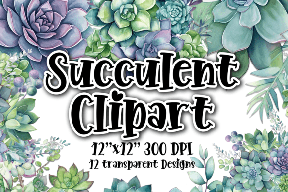 Download Succulents Clipart 10 Transparent PNGs - Clipart Collection