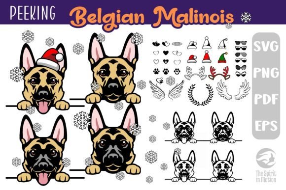 Download Belgian Malinois SVG, Clipart &amp; Cutfiles - Clipart Collection