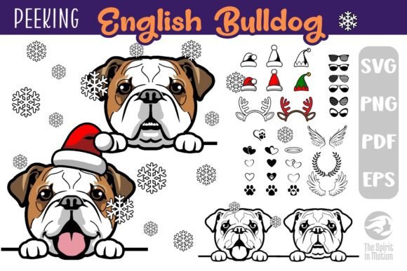 Download English Bulldog SVG, Clipart &amp; Cutfiles - Clipart Collection